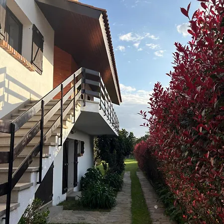 Moledo Seaview