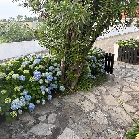 Seaview Apartman